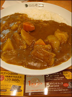 Grand Mother Curry with Cheese