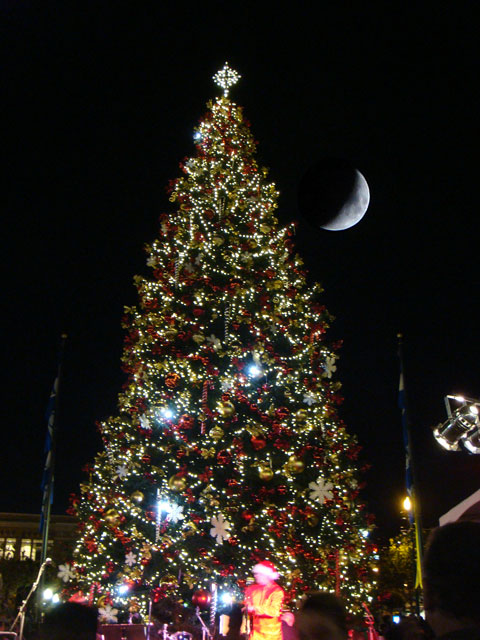 Christmas Tree at Pier 39