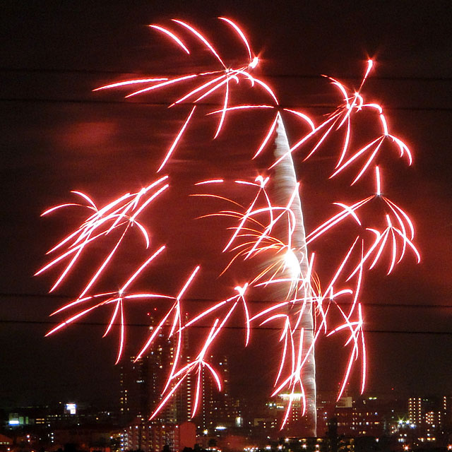 Edogawa Fireworks Festival