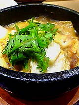 20050329231947.jpg