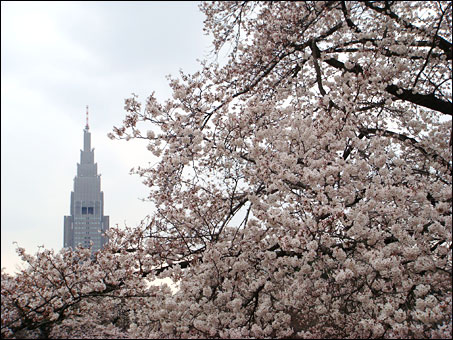 Shinjuku Gyoen