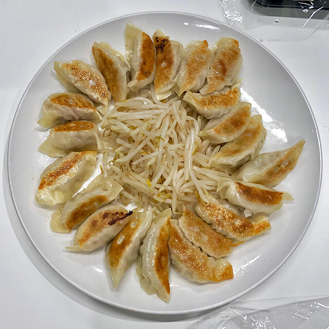 Hamamatsu Gyoza