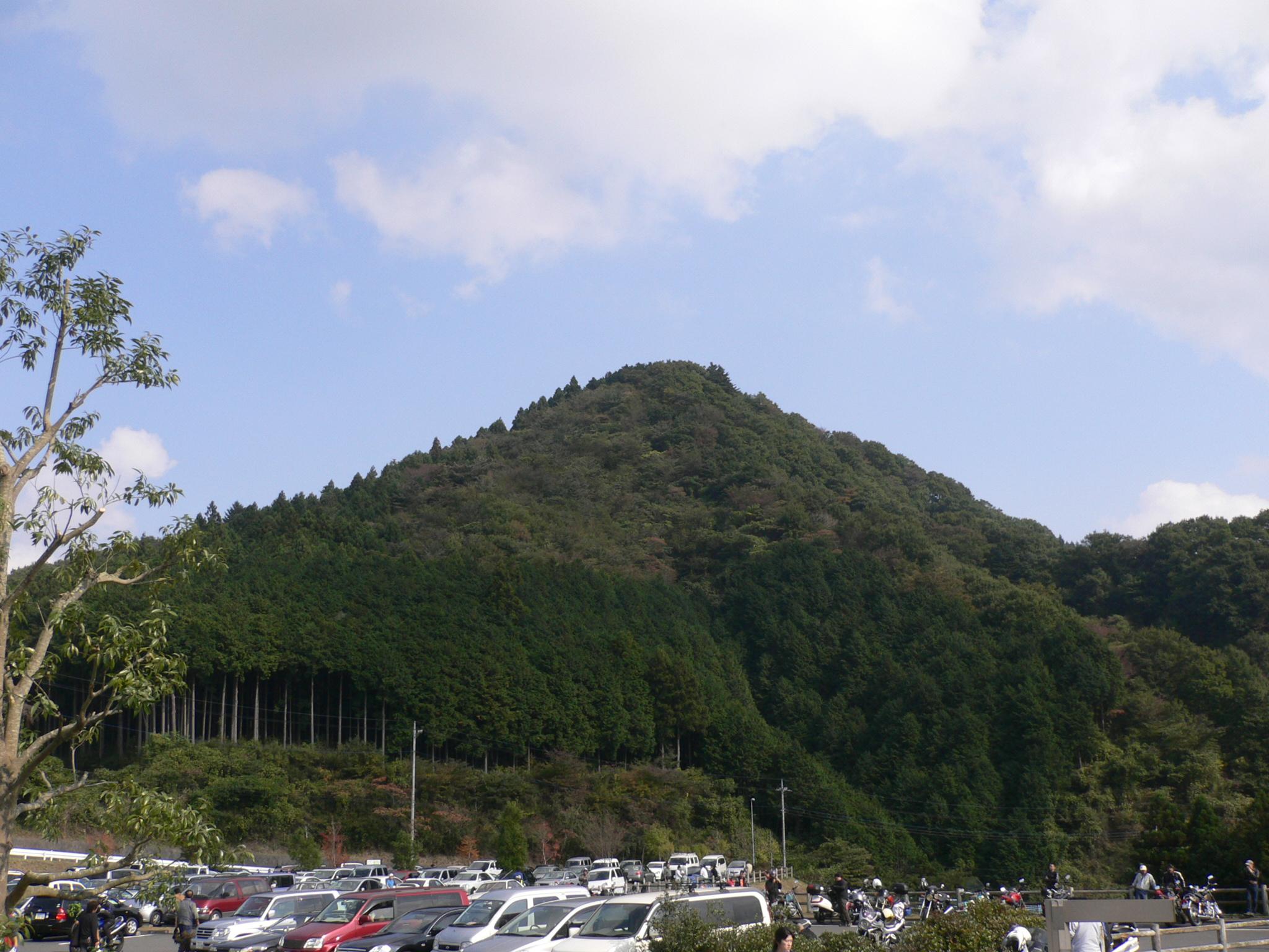 道志みちの紅葉 ドライブ中毒