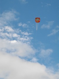 IMGP0015