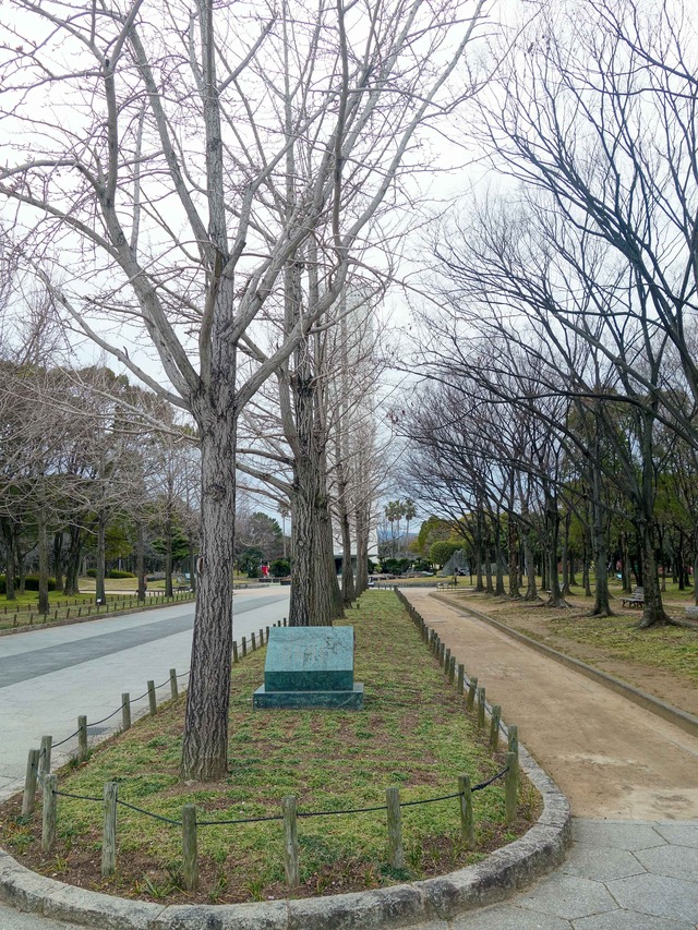 DSC02038_edit