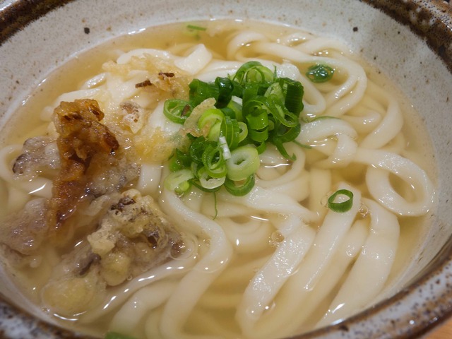 かき揚げうどん 4_edit