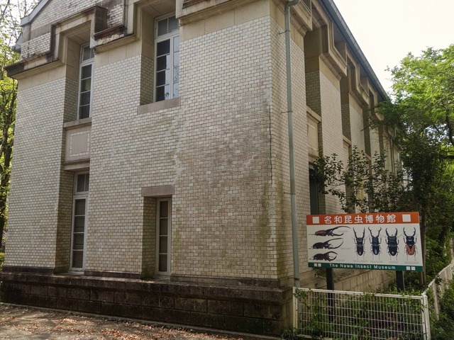 名和昆虫博物館 3_edit
