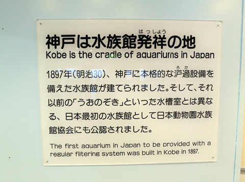神戸は水族館発祥の地_edit