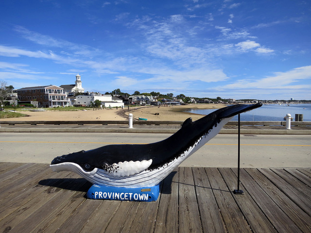 MacMillan Pier のクジラのオブジェ_edit