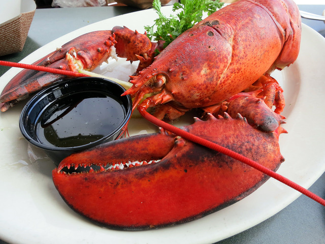 Lobster (2 pound) 1_edit