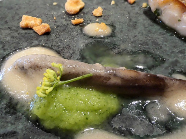 どじょう,岩魚 6_edit