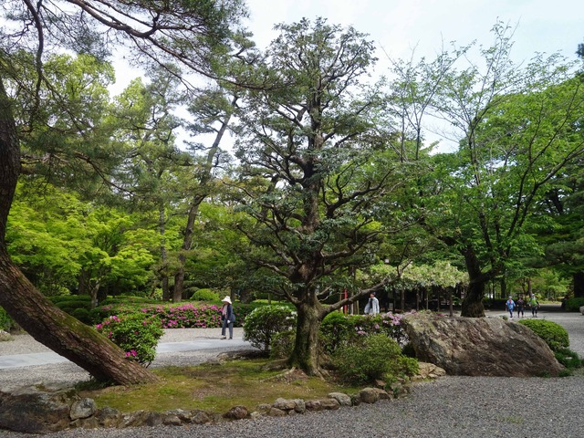 岐阜公園 5_edit