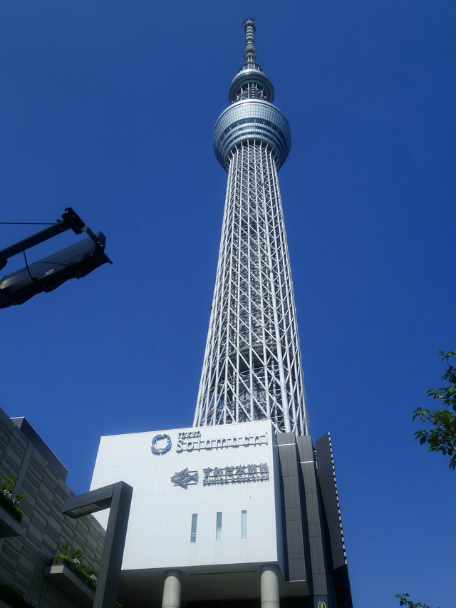 すみだ水族館 7_edit