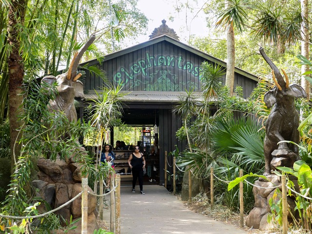 Elephantasia Shop 2_edit