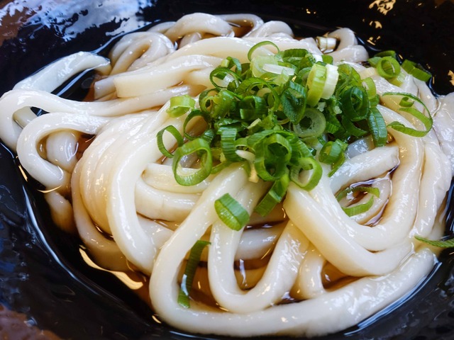 ぶっかけうどん冷 3_edit