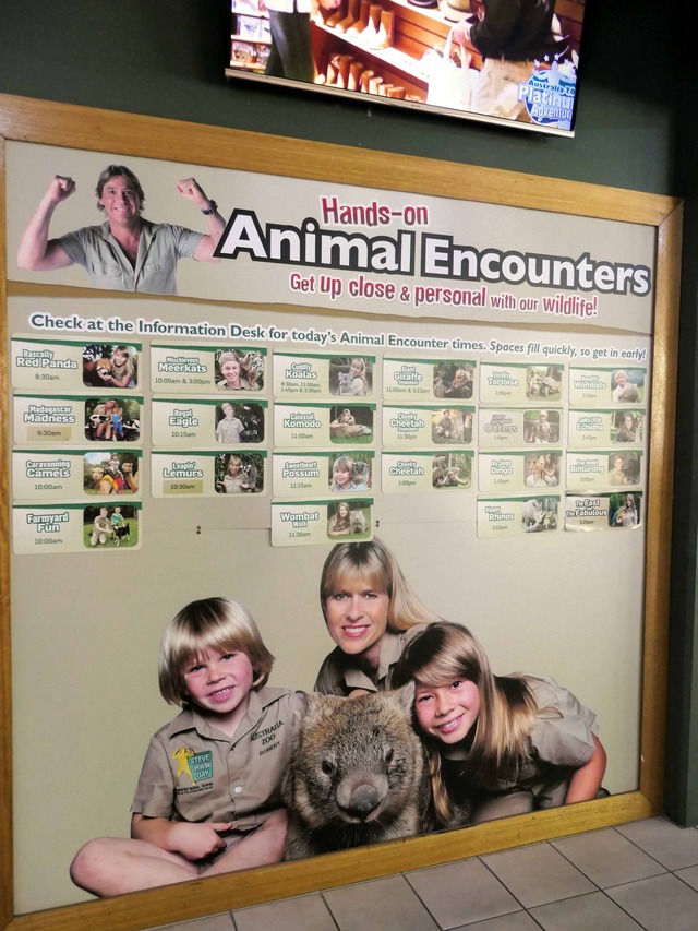Animal Encounters_edit