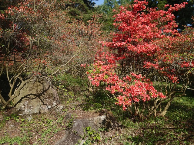 真田氏御屋敷跡 7_edit