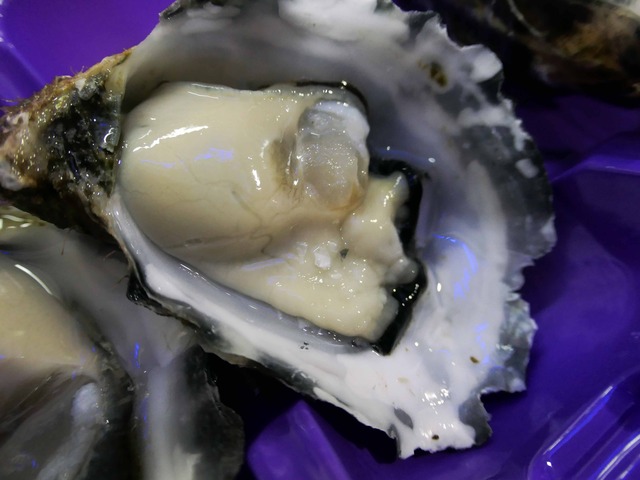 Coffin Bay Oyster 5_edit