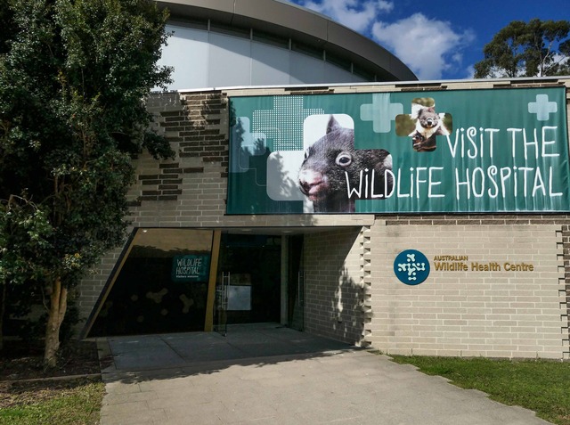 Wildlife Health Centre 7_edit