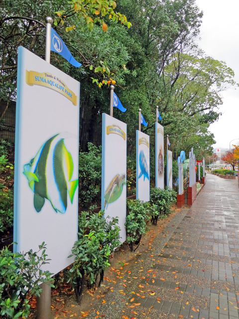 須磨海浜水族園前の通り 3_edit