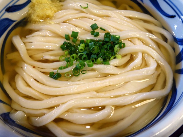 かけうどんひやひや(大) 3_edit