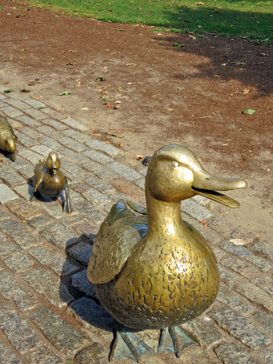 Make Way For Ducklings 2_edit