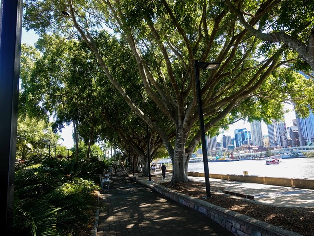 Clem Jones Promenade 3_edit