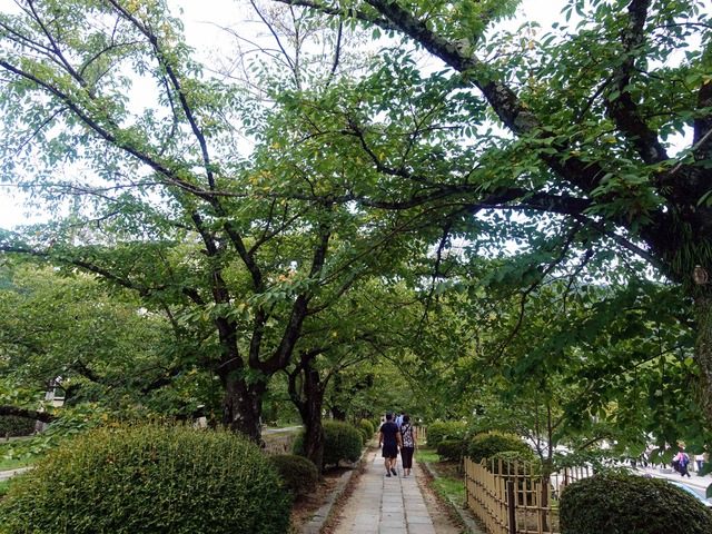 哲学の道 9_edit