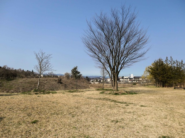 くつろぎ緑地 1_edit