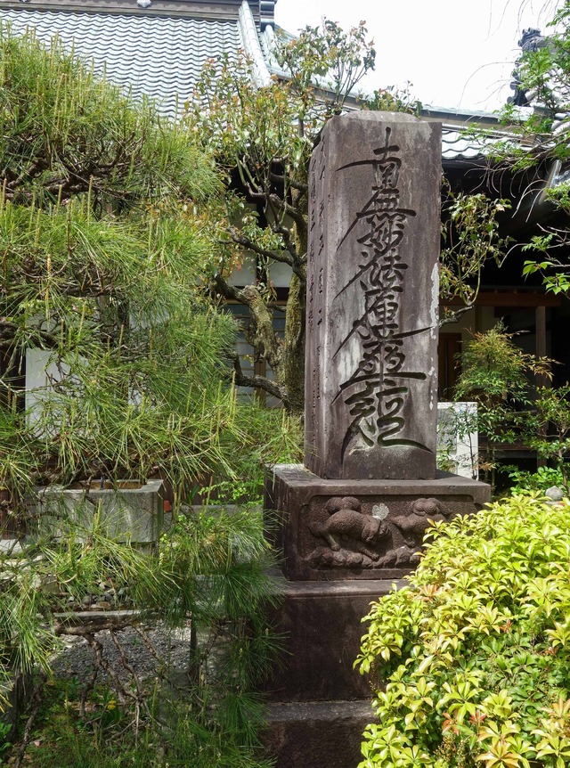DSC01698_edit