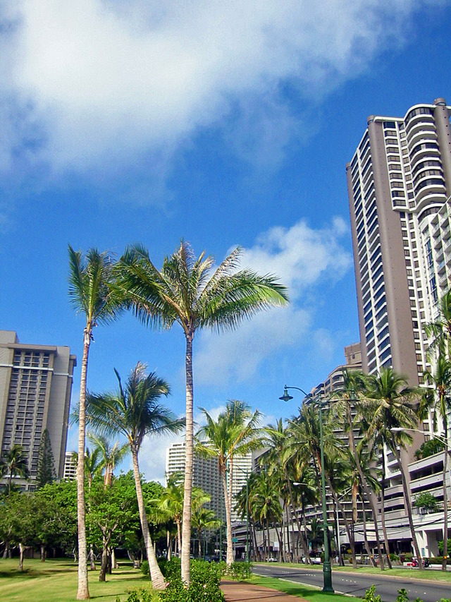 ALA MOANA Blvd_フォート・デルッシ公園_edit