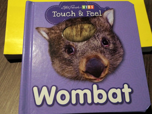 Touch & Feel Wombat 1_edit
