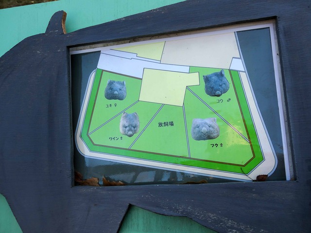 おうちの地図_edit