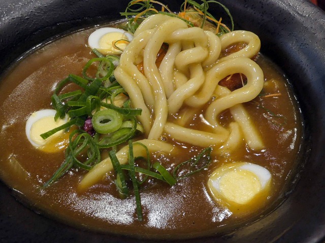 豊橋カレーうどん 8_edit
