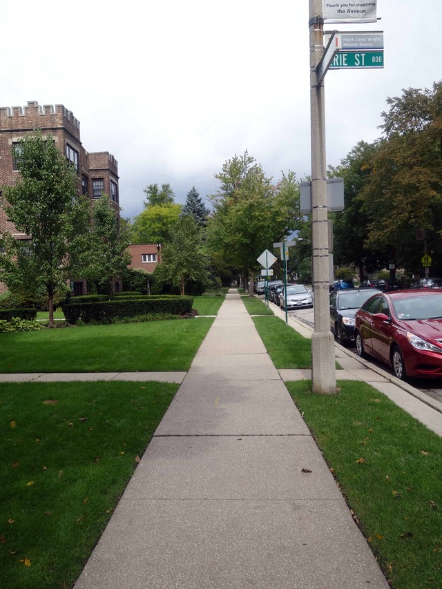Oak Park Ave 1_edit