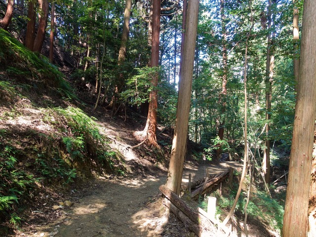伊勢神宮遥拝所へ続く山道 4_edit