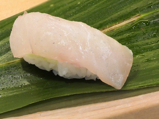 ヒラメ_edit