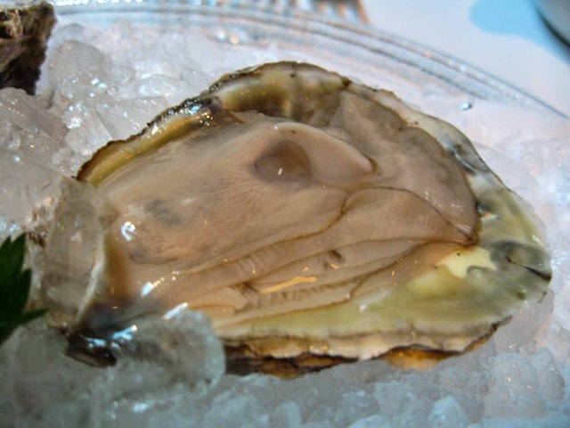 Oyster Sampler 5_edit