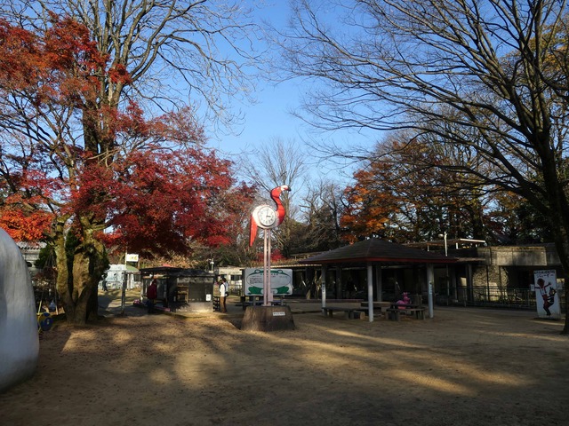 動物園 3_edit