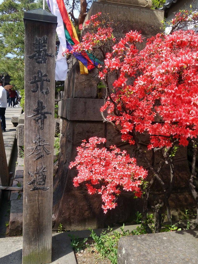 参道 6_edit