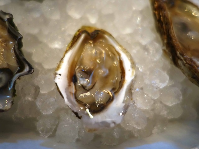 Fresh Oysters 6_edit