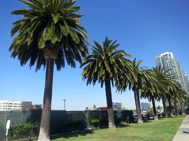 California St 2_edit