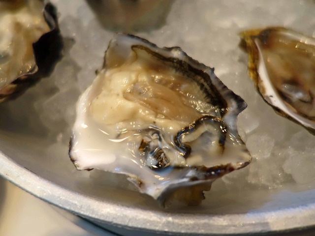 Fresh Oysters 5_edit