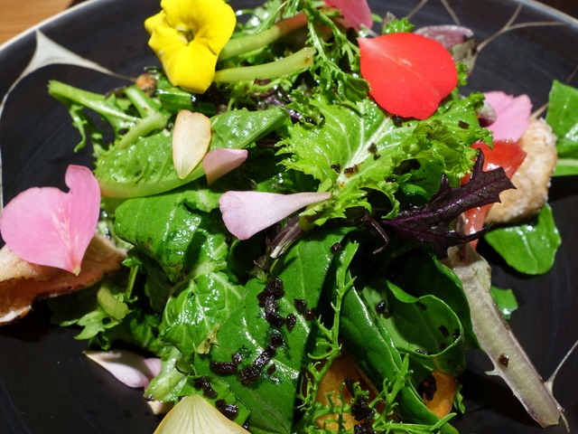 新鮮野菜のサラダ 2_edit