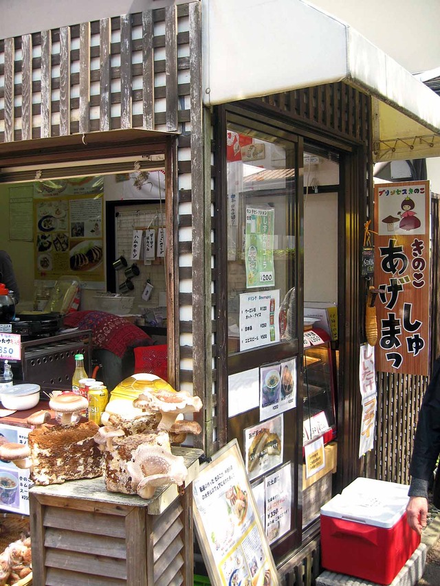 鎌倉 食べ歩き 神奈川県鎌倉市 食で奏でる旅の記憶 鎌倉 食べ歩き 神奈川県鎌倉市 食で奏でる旅の記憶