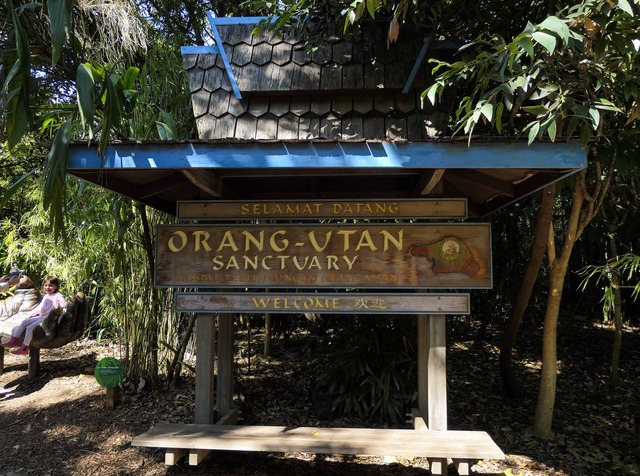 Orang-utan Sanctuary 1_edit