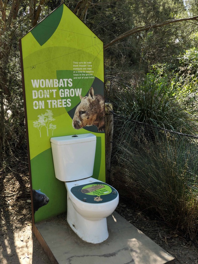 Australian Bush 7_edit