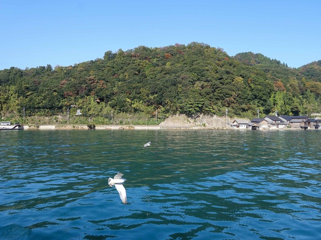 伊根湾 21_edit