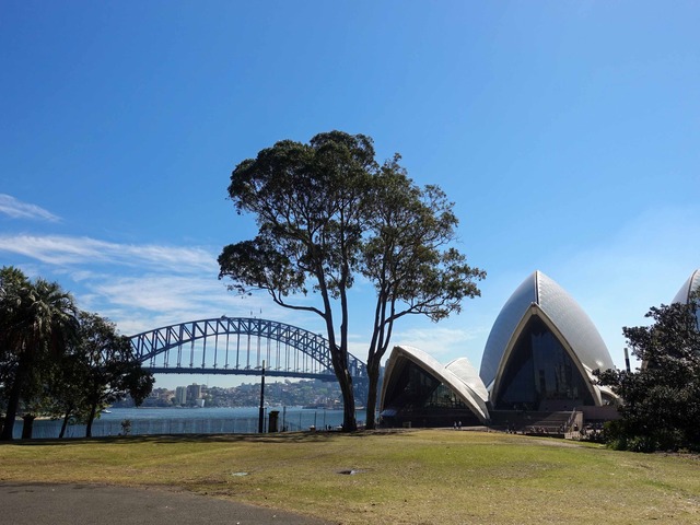 Bennelong Lawn 1_edit