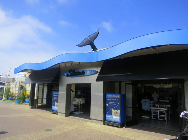 The Shamu Shop 1_edit